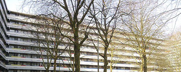 Sinclair Lewisplaats Rotterdam Groot onderhoud